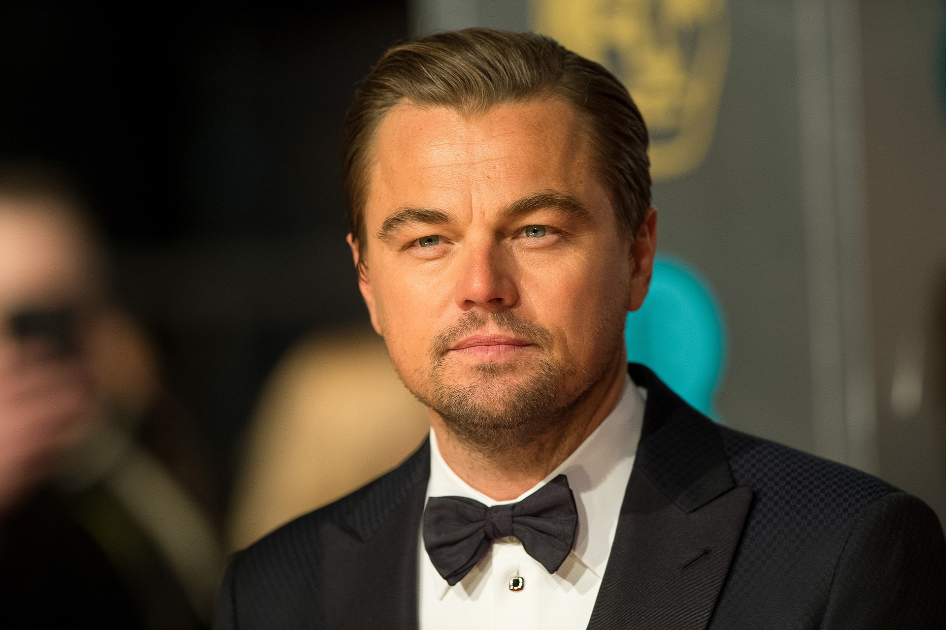 Leonardo DiCaprio Arte In Movimento