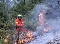 INCENDIO DOLOSO