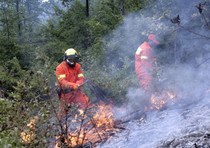 Parco del Circeo:Innescato incendio doloso