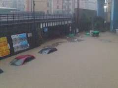 Alluvione a Genova: si fa la stima dei danni