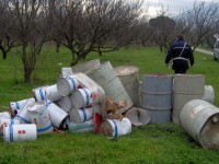 Delitti ambiente codice penale