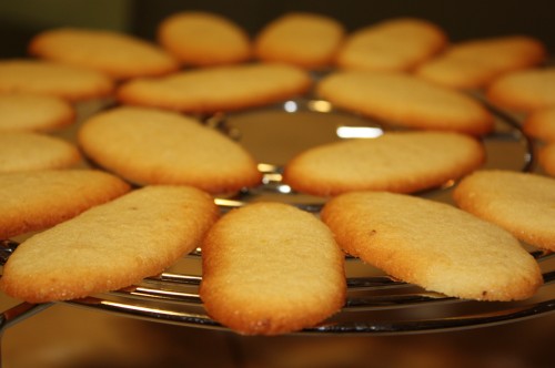 Lingue di gatto: ricetta per la piccola pasticceria