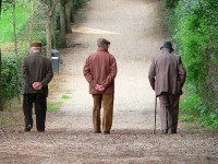 Pensioni 2014 sesso settore uomini donne pubblico privato
