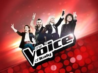 stasera in tv the voice of italy
