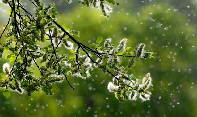 Allergie e intolleranze secondo il Prof. Giattanasio