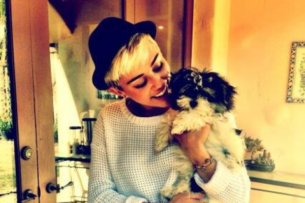 Miley Cyrus “scarica” il suo cagnolino: il dolore per la morte di Floyd è ancora fresco!