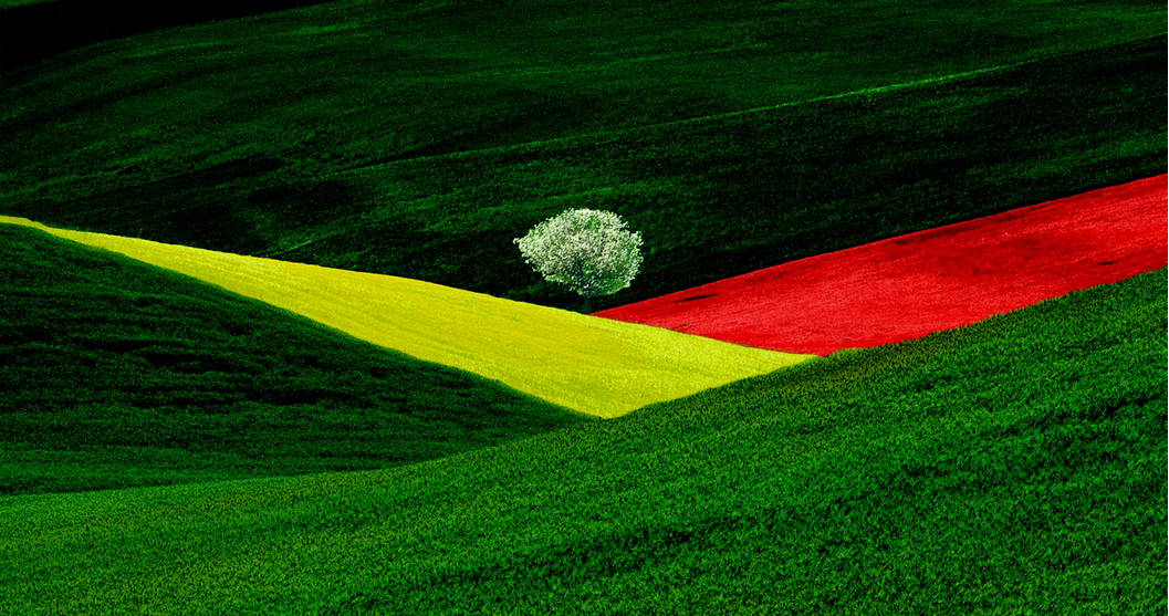 Franco Fontana a Venezia fino al 18 maggio: 130 opere di un fotografo famoso in tutto il mondo