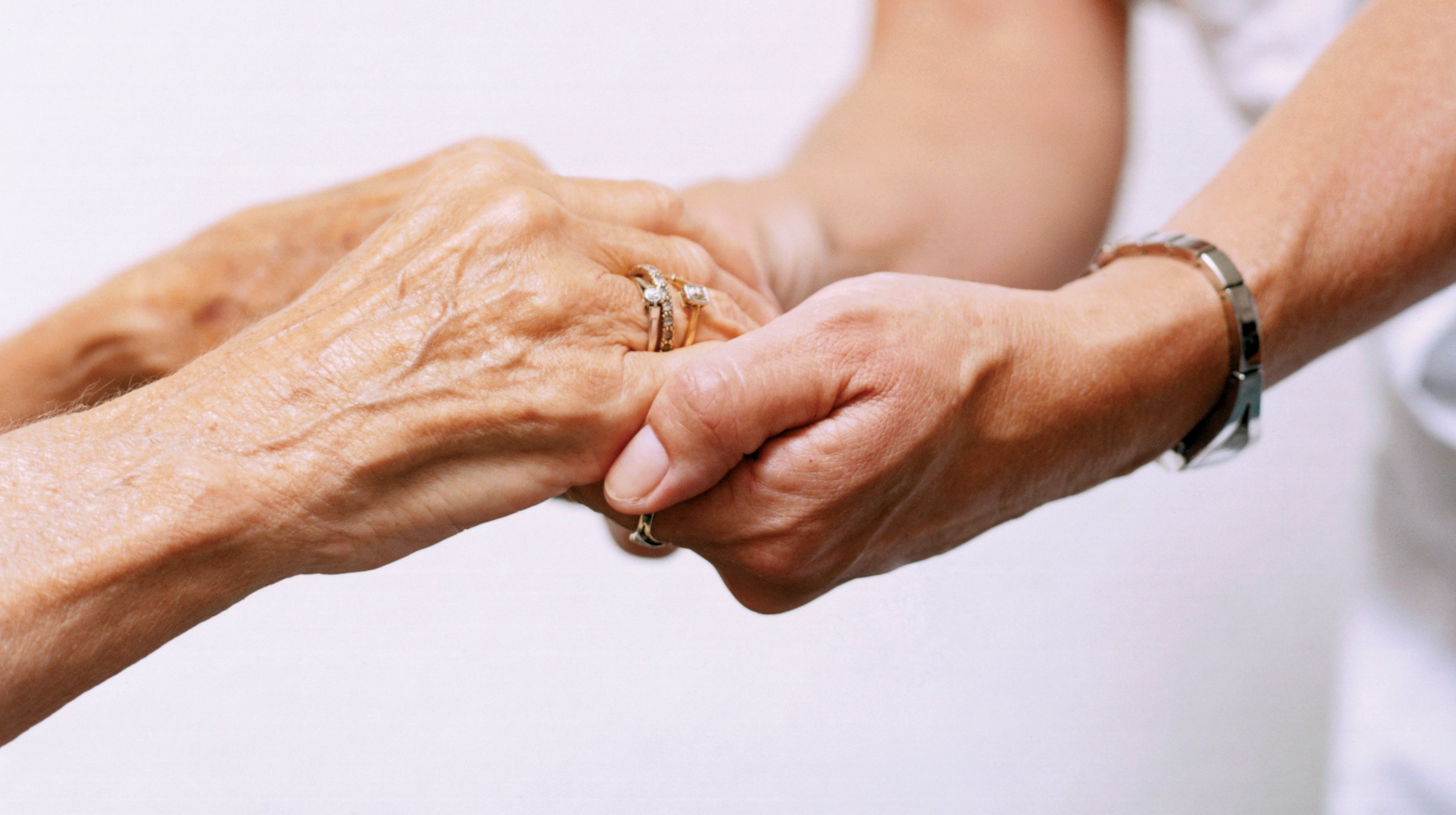 Livorno: truffa ai danni di un’anziana donna di 92 anni