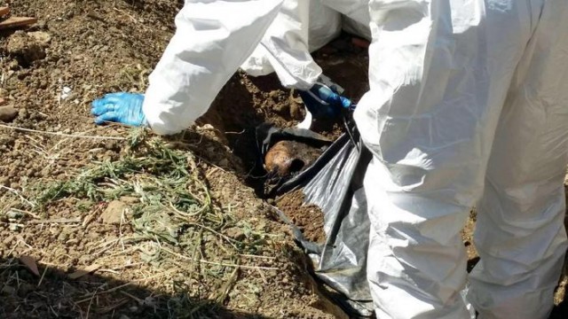 Corleone, Palermo: badante seppellisce anziano e ne riscuote pensione