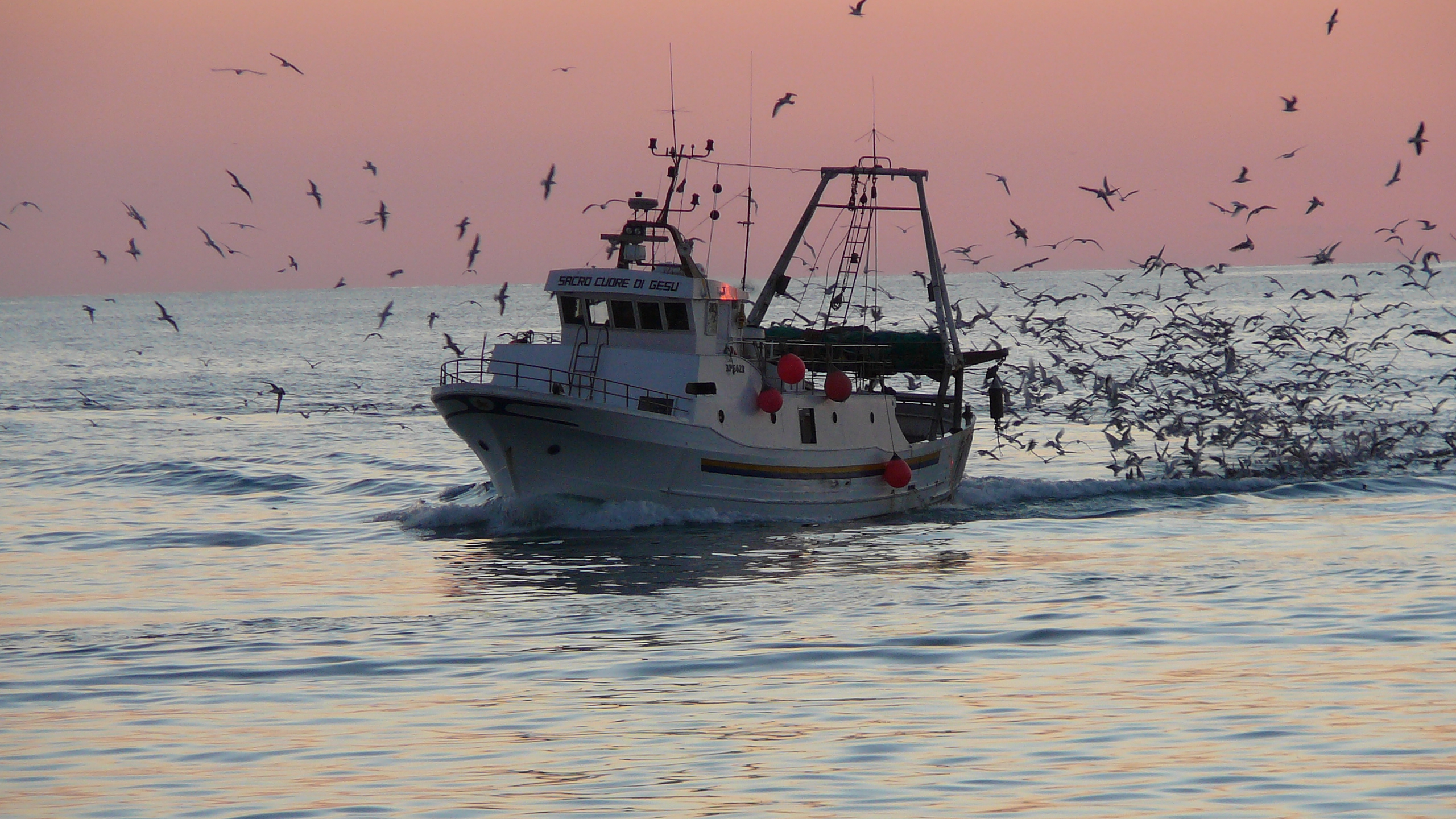 Coldiretti vieta pesca nel mar Adriatico: fauna ittica in pericolo