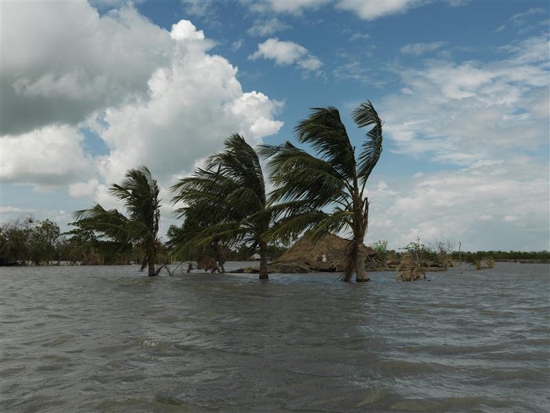 OMS: esistono dei rapporti tra mutamenti climatici e salute umana