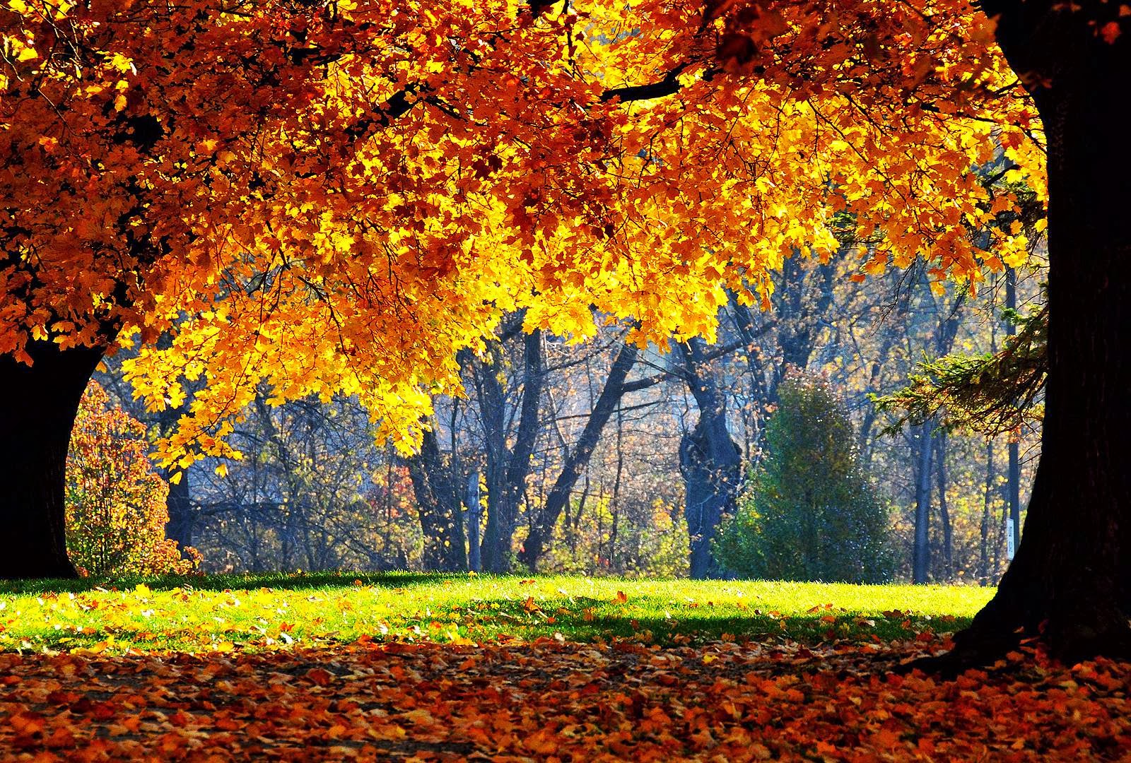 Salute e alimentazione: come prepararsi all’arrivo dell’autunno