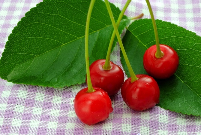 Dolori alle articolazioni e gotta: curarsi con il succo di ciliegia