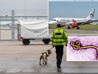 ebola aeroporti europa
