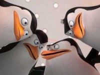 cinema-i-pinguini