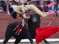 Corrida Toro Spagna