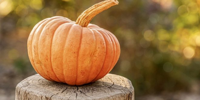 Halloween: ecco alcune idee divertenti per festeggiare al meglio